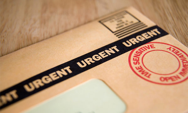 Dispatch No. 7: The Good… and Urgent News!